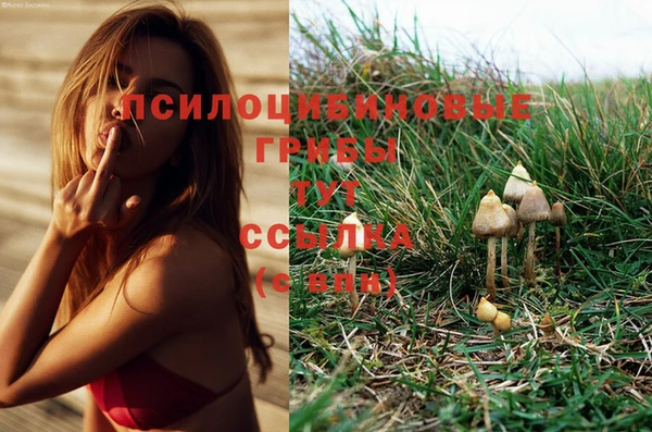 гидропоника Аркадак